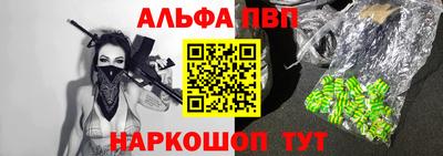 спиды Кингисепп
