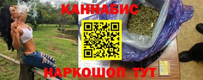 спиды Кингисепп