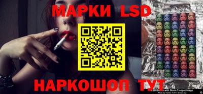 спиды Кингисепп
