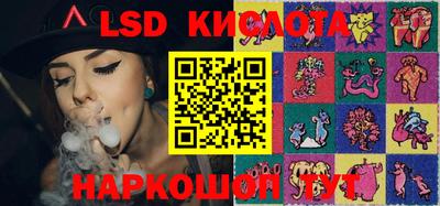 спиды Кингисепп