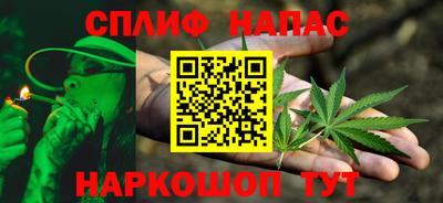спиды Кингисепп
