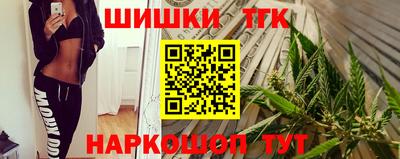 спиды Кингисепп