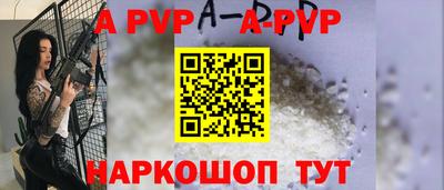 спиды Кингисепп